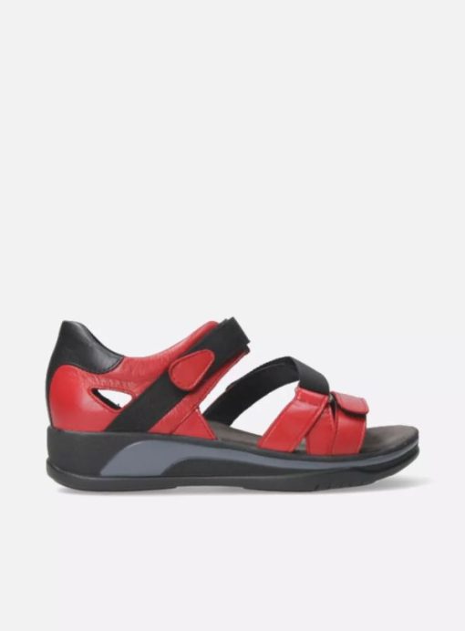 Cinderandstone.shop1fa4f4aee3 1