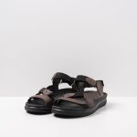 Cinderandstone.shop4a03c10a5d 2