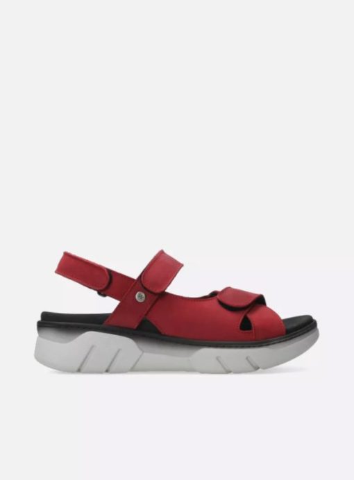 Cinderandstone.shop92df7983f2 1