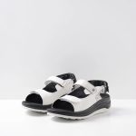 Cinderandstone.shop9870c756c8 2