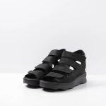 Cinderandstone.shope00123edb4 2
